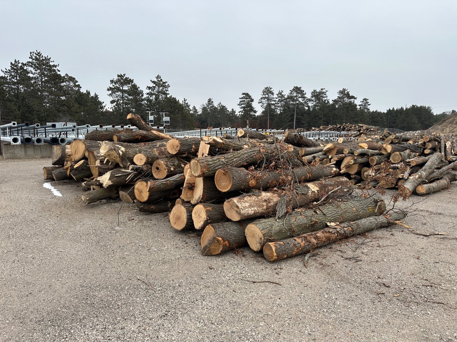 OPENING SOON: Fire Wood & Lumber Logs