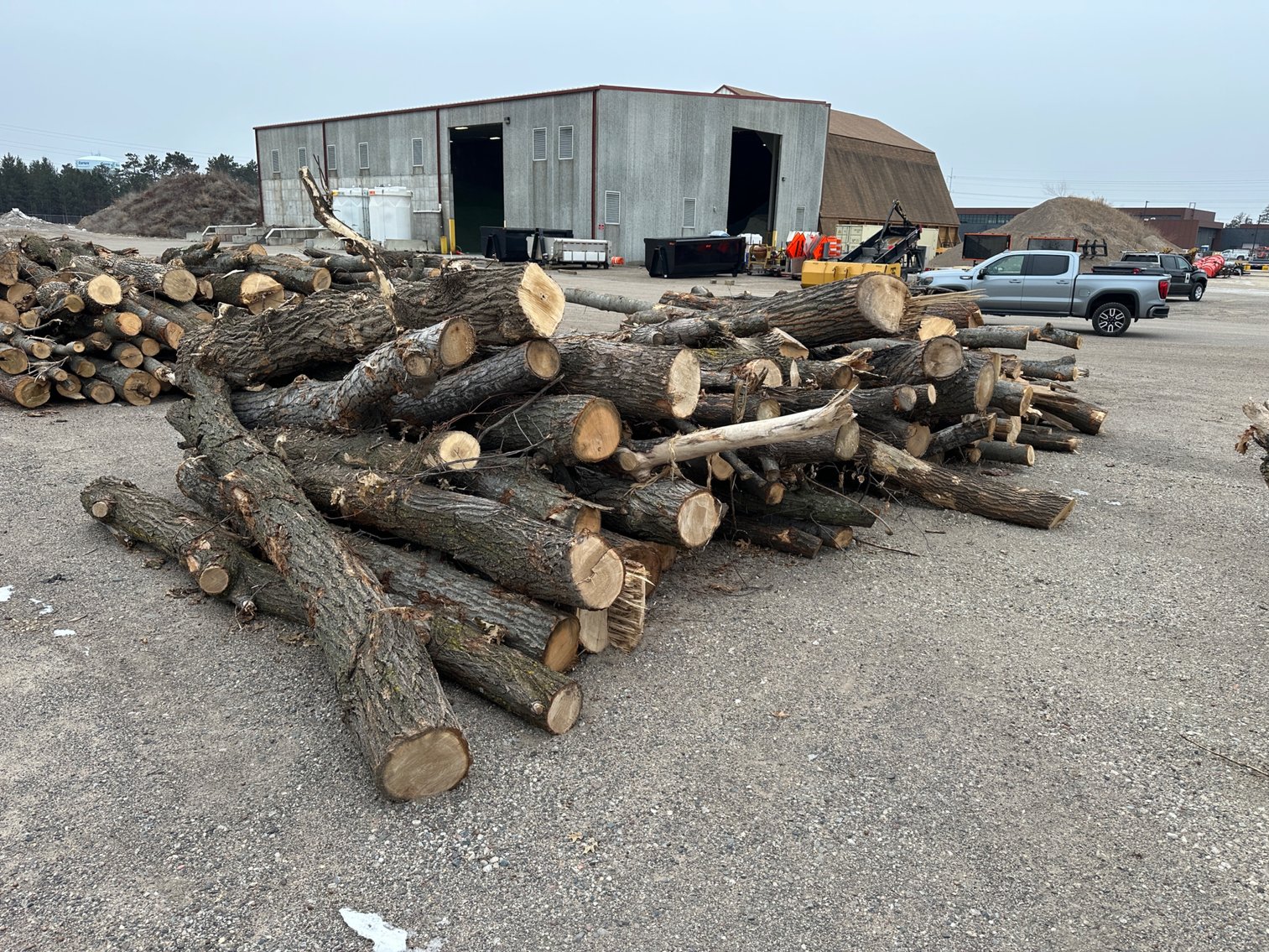 OPENING SOON: Fire Wood & Lumber Logs