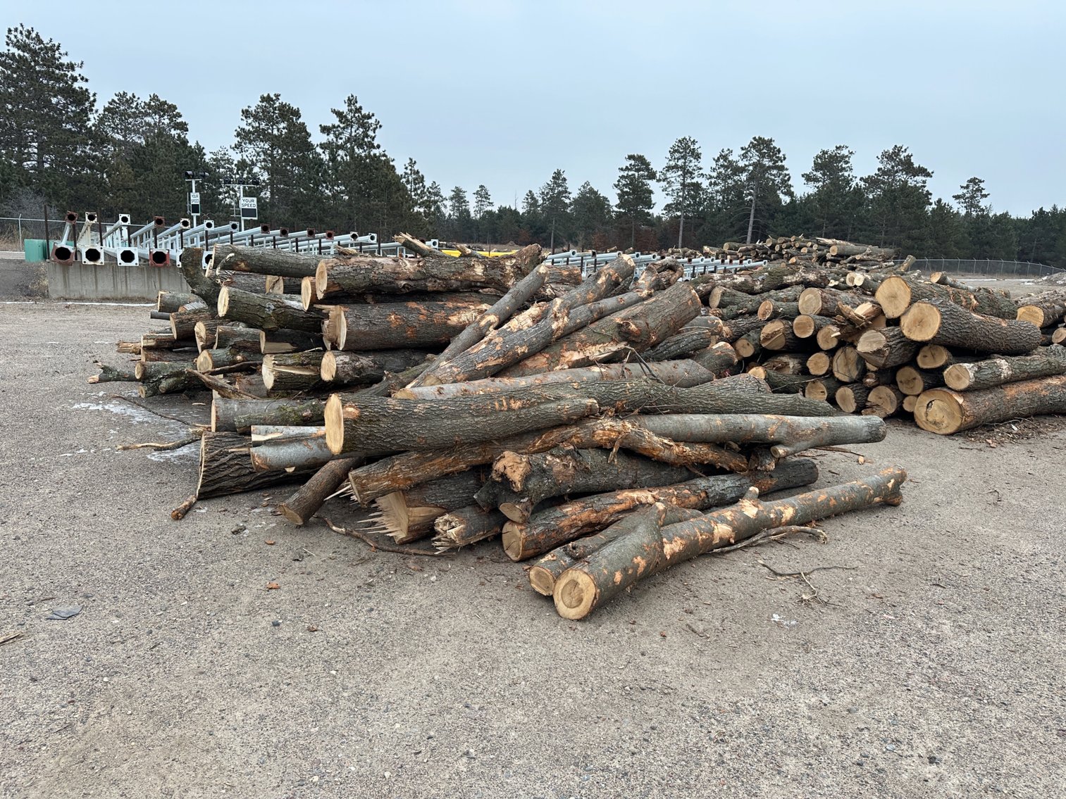 Fire Wood & Lumber Logs (133725)