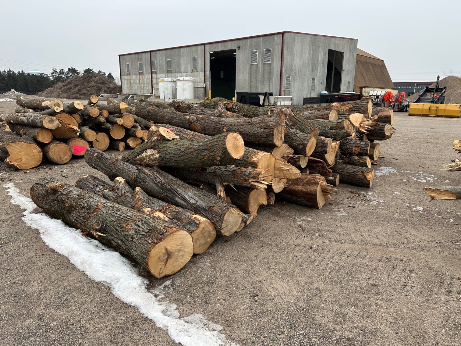 OPENING SOON: Fire Wood & Lumber Logs