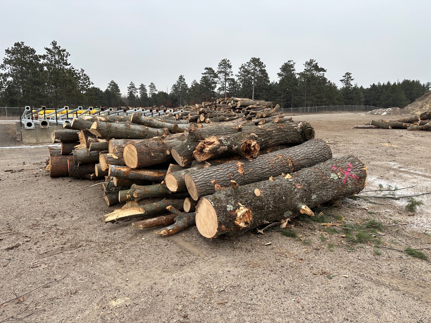 Fire Wood & Lumber Logs (133725)