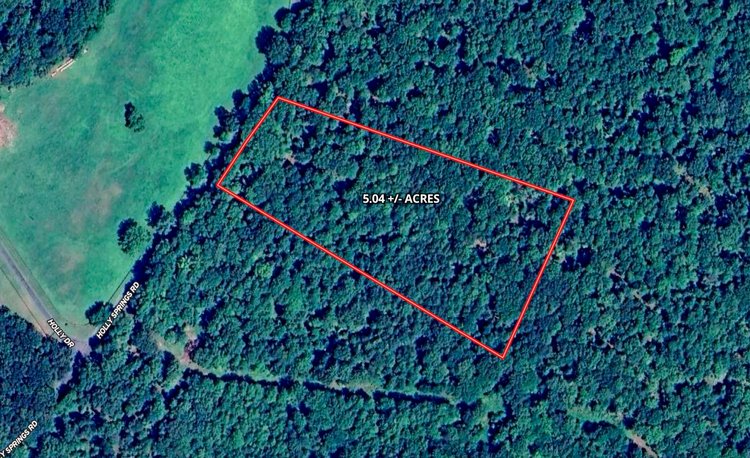 5.04 +/- Acre Wooded Land Parcel w/235' +/- of Road Frontage in Culpeper County, VA--ONLINE ONLY BIDDING!!